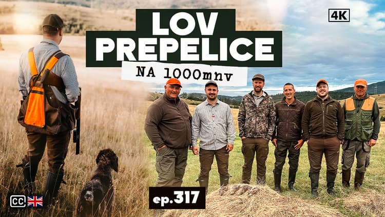 Lov Najmanje Poljske Koke na 1000 m nadmorske visine/ Quail hunting over 1000 m altituteude E317