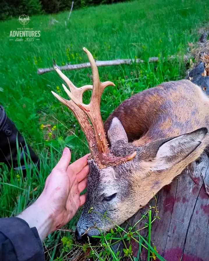 Planinski Lov Srndaća - No Limit (All Inclusive) 2