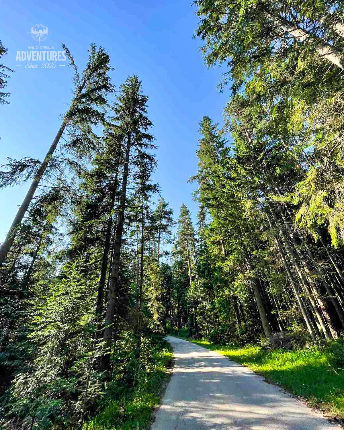 Planinski Lov Srndaća - No Limit (All Inclusive) 6