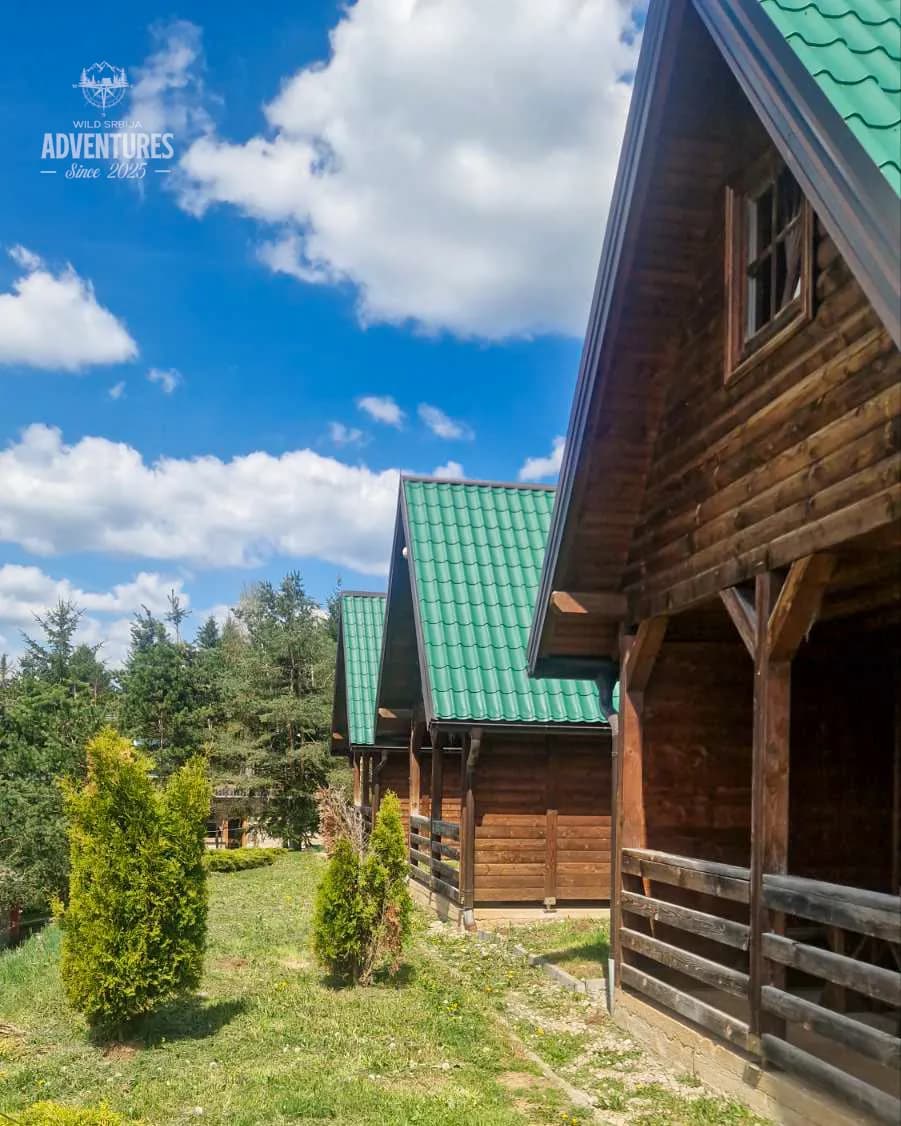 Planinski Lov Srndaća - No Limit (All Inclusive) 8