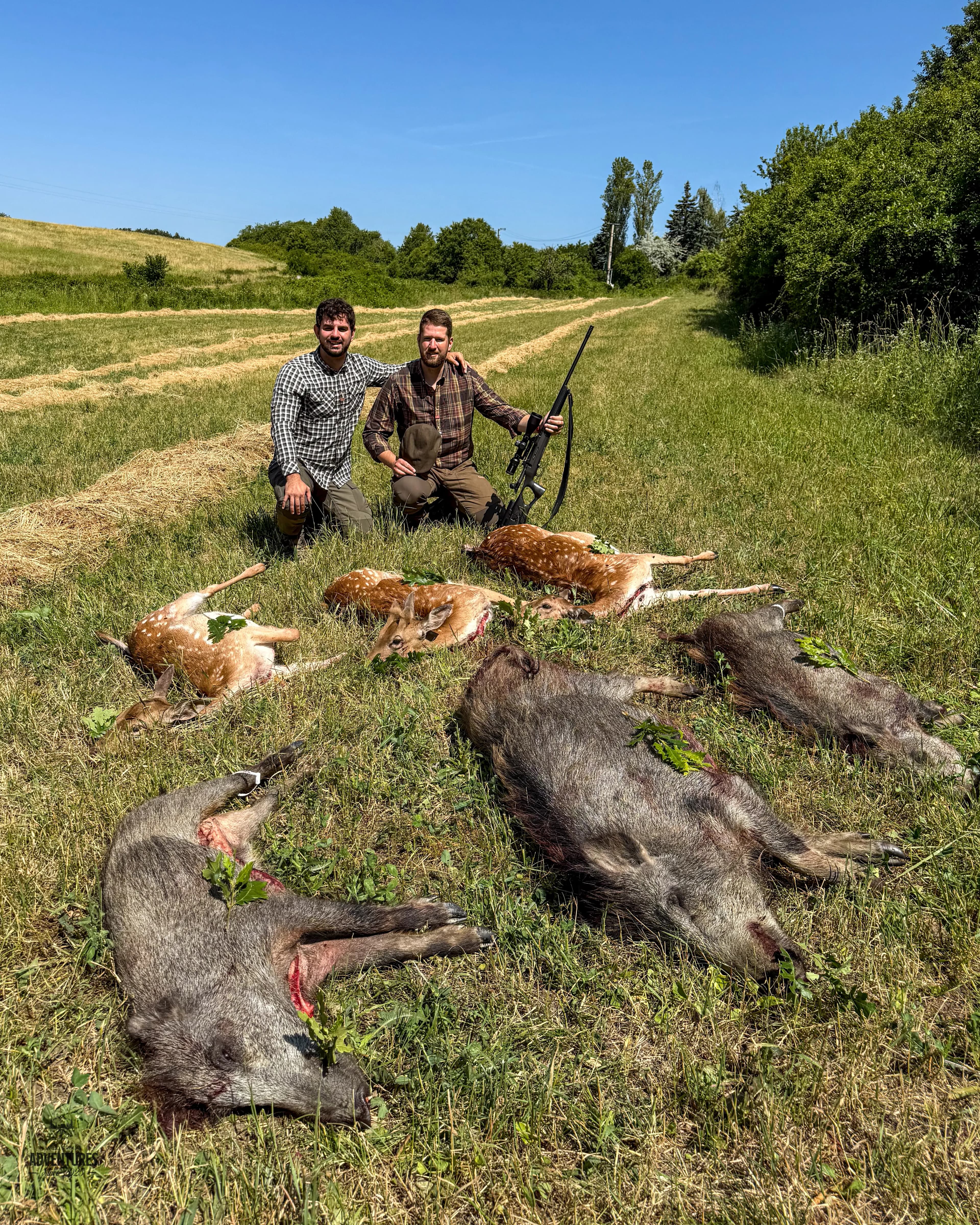 Selektivni Lov Jelenske i Crne divljači - Madjarska