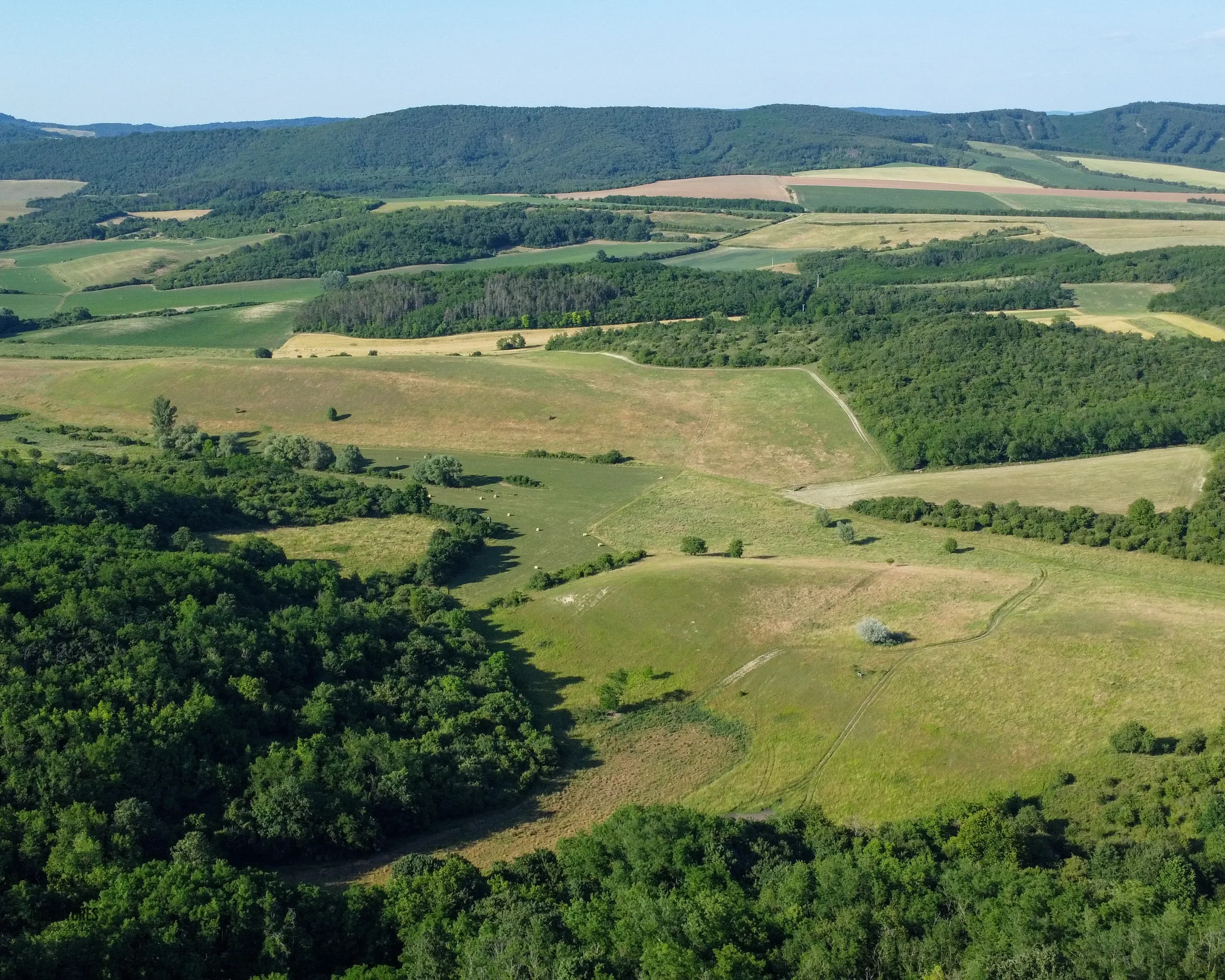 Selektivni Lov Jelenske i Crne divljači - Madjarska 7