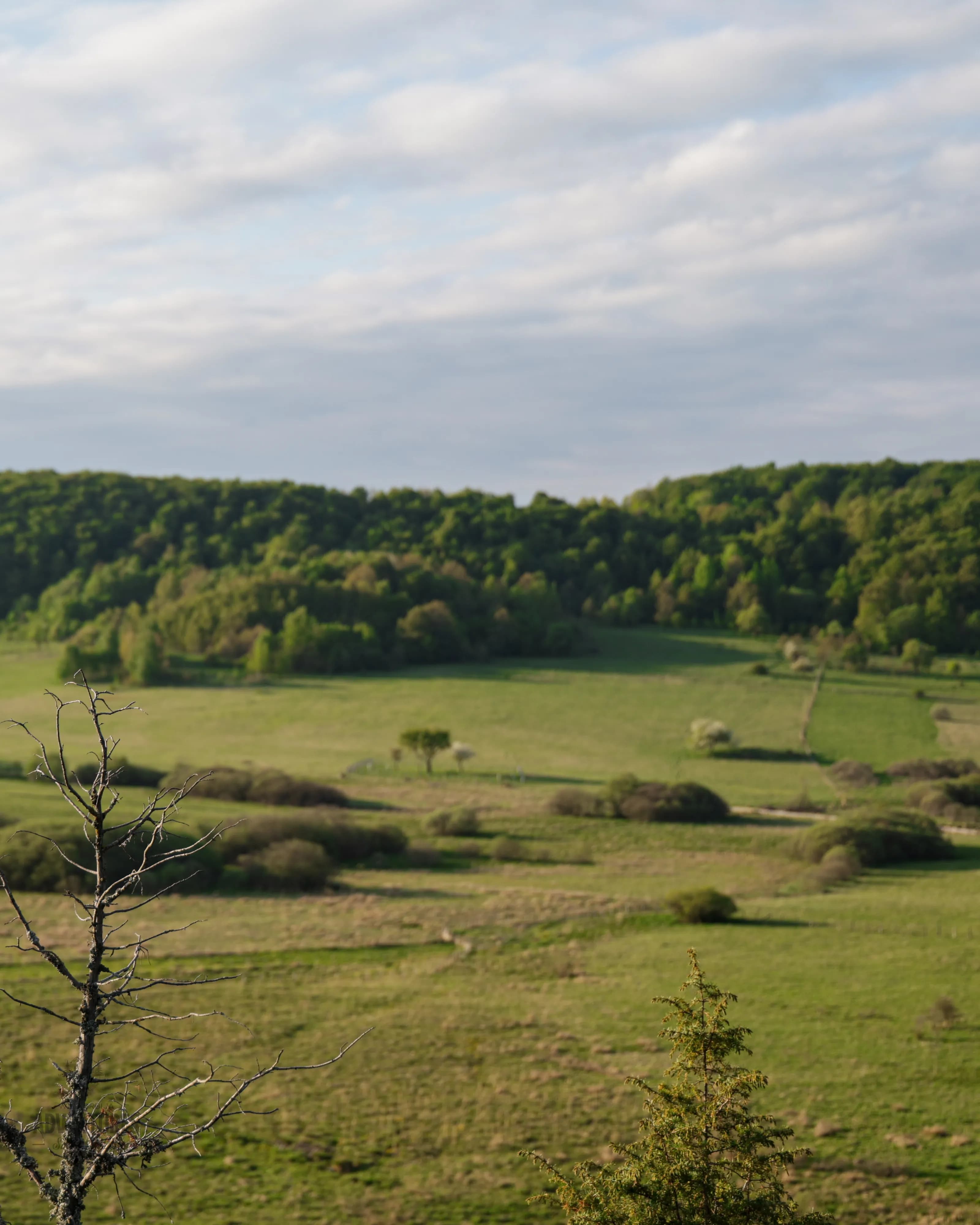 Planinski Lov Srndaća - No Limit (All Inclusive) 12