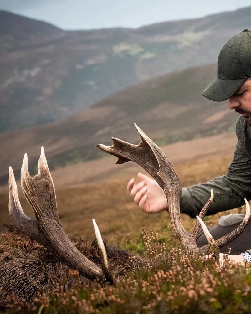 Lov Jelena - Severna Škotska 2026/27 7