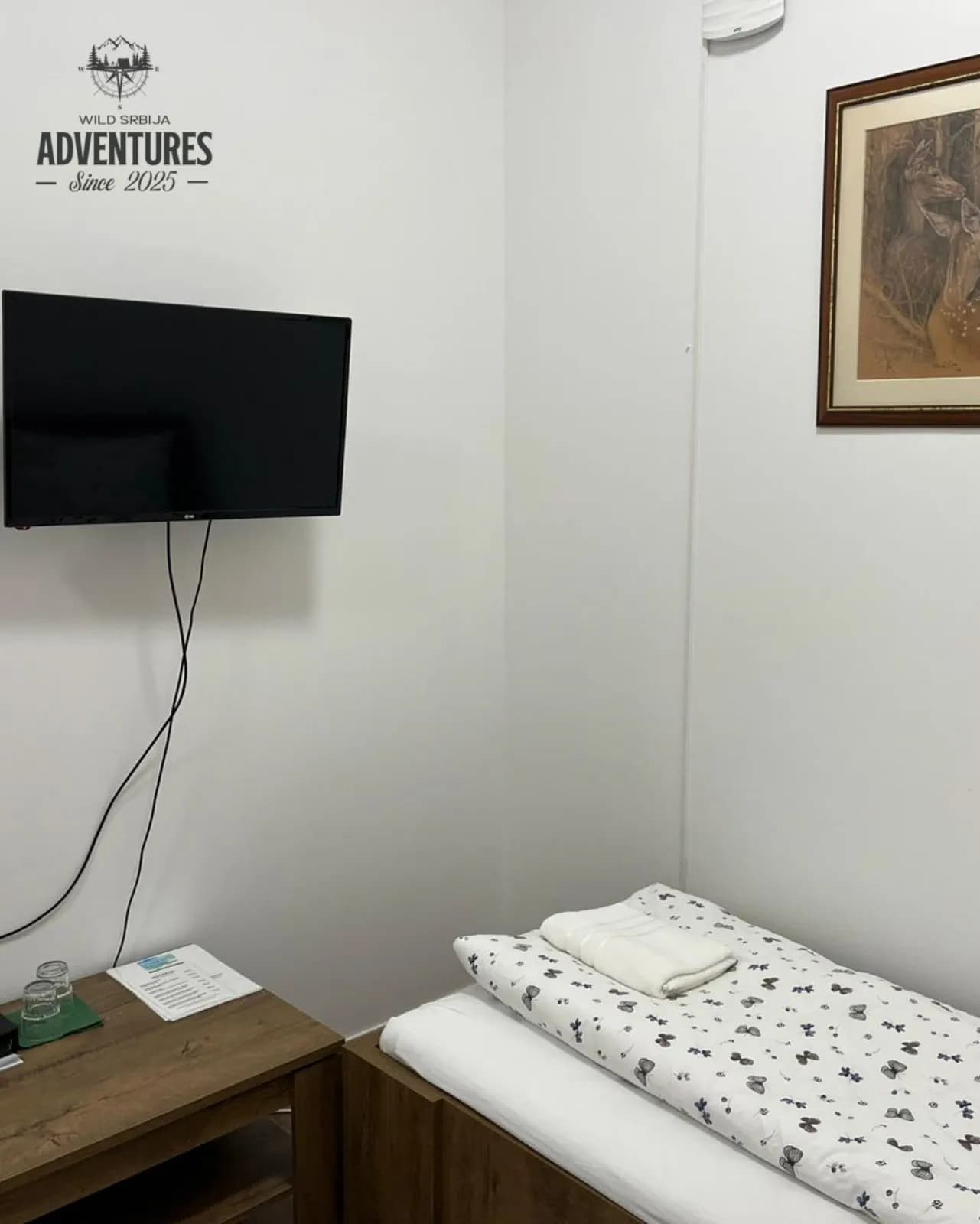 Lov Jelena Lopatara/Muflona/Evropskog Jelena - Madjarska 5