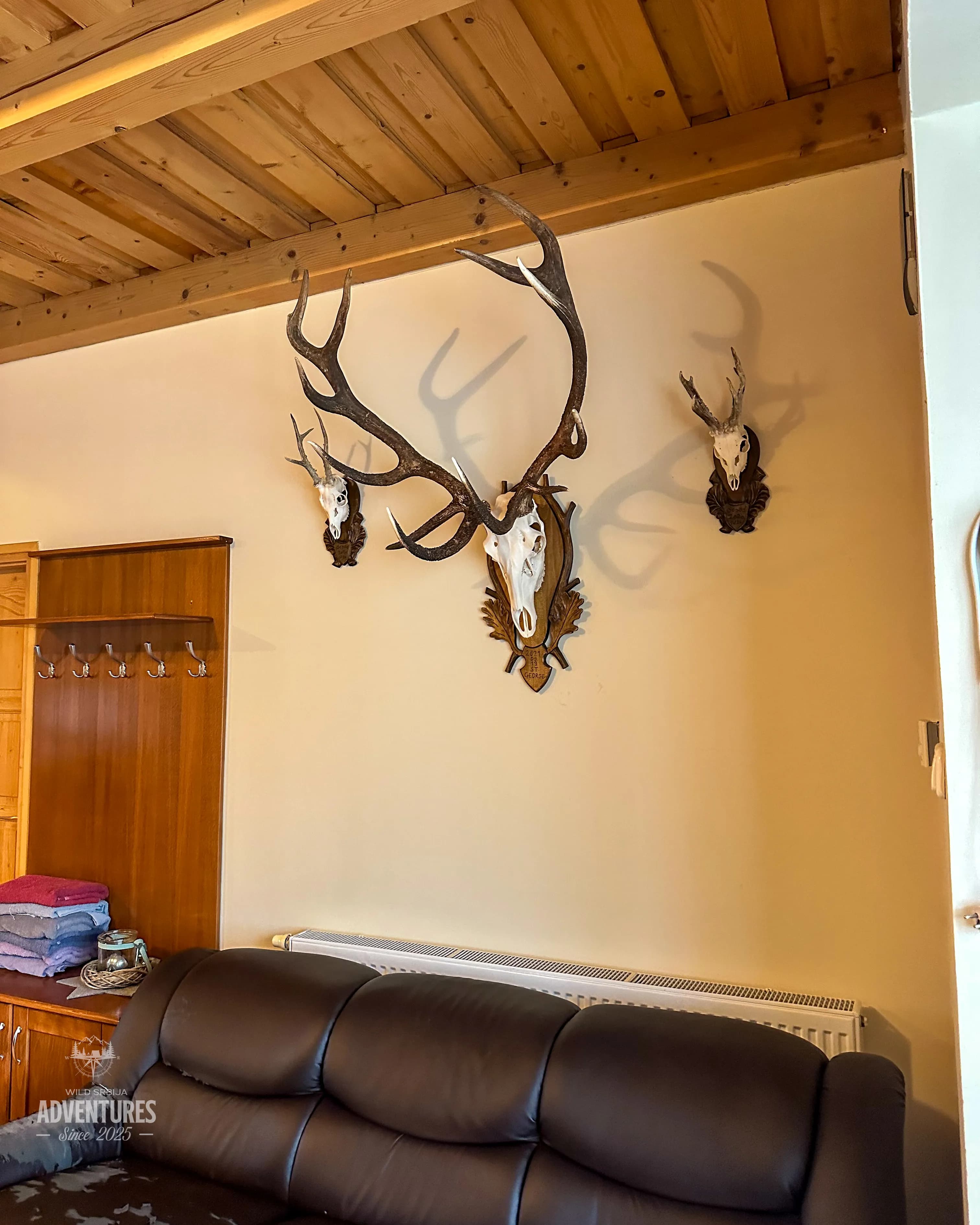 Dnevni Lov Jelena u Rici 2026/27 - Madjarska 11