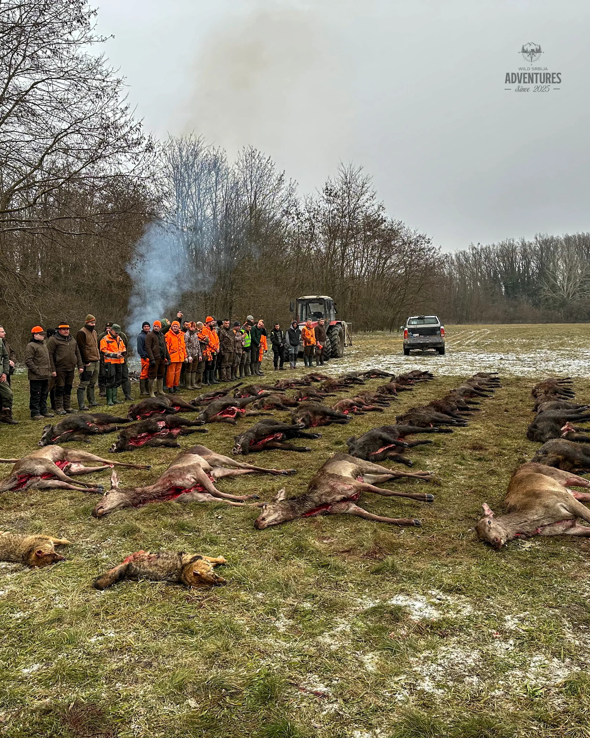 Osvojite -> WILD Srbija Pogonski Lov - Madjarska vrednosti 779 EUR