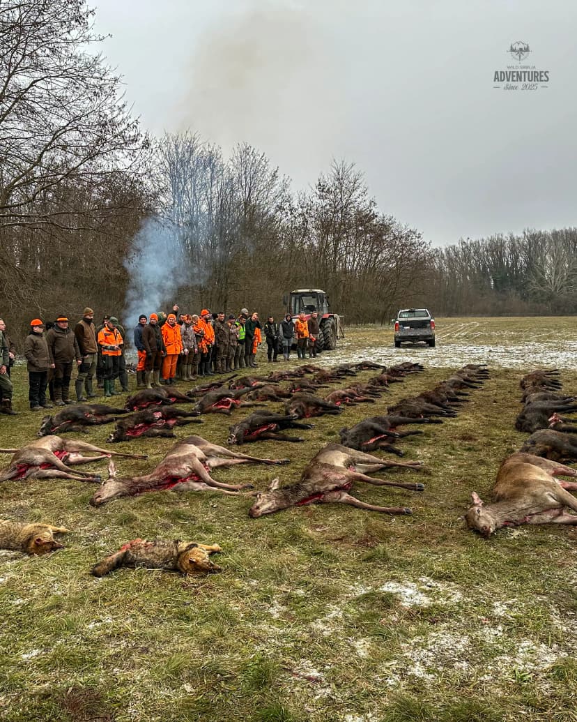 Osvojite -> WILD Srbija Pogonski Lov - Madjarska vrednosti 779 EUR