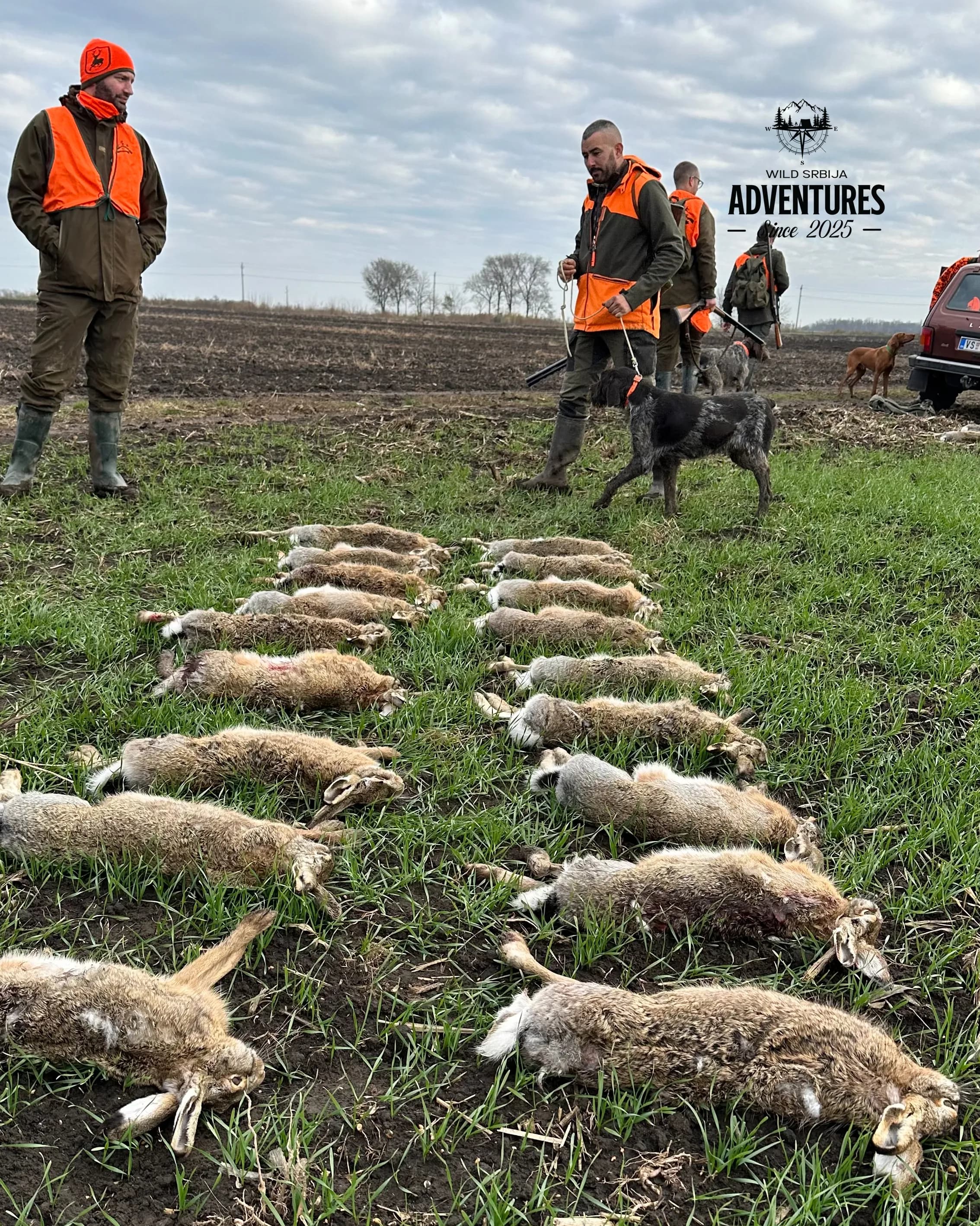 Lov na Zeca Potkovicom u Vojvodini 6