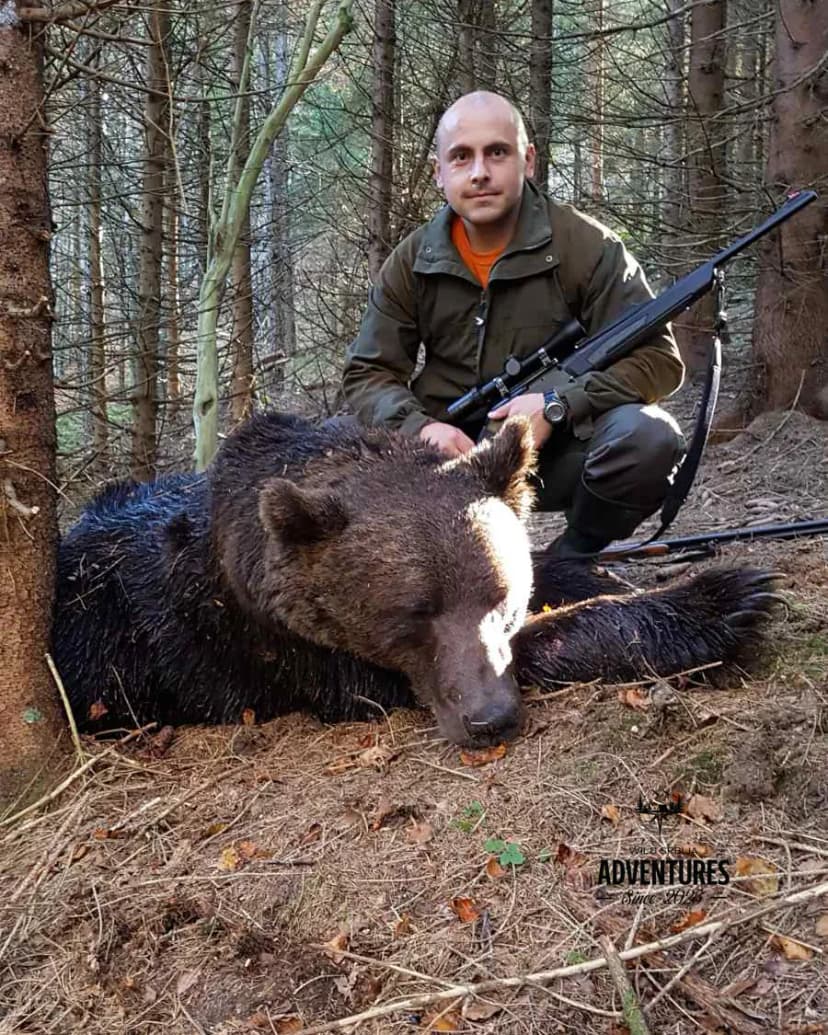 Lov Medveda čekanjem sa toplih čeka - nonexportable trophy