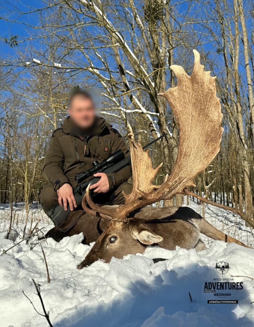 Lov Jelena Lopatara/Muflona/Evropskog Jelena - Madjarska