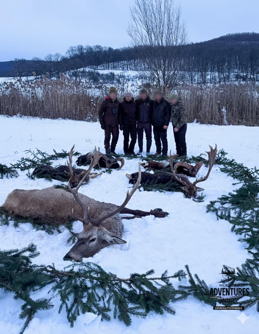 Lov Jelena Lopatara/Muflona/Evropskog Jelena - Madjarska 13