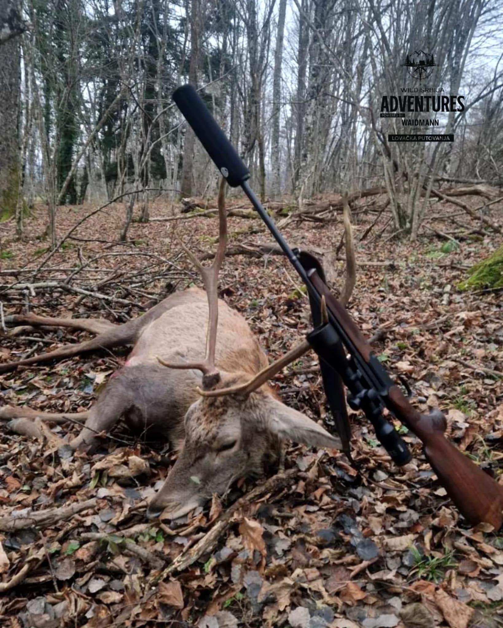 Lov Evropskog Jelena - Slovenija - Selekcija - All inclusive 2