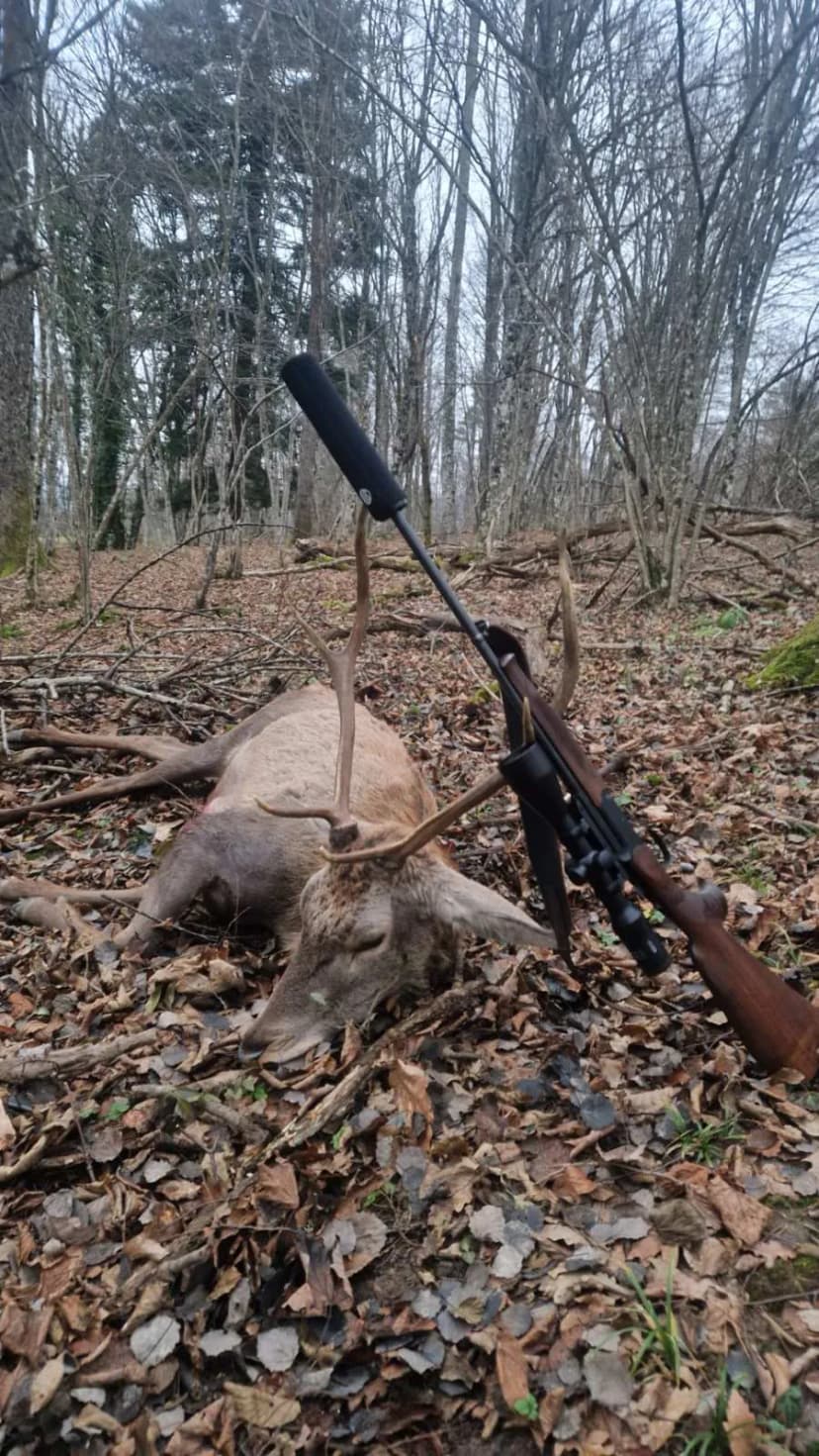 Lov Evropskog Jelena - Slovenija - Selekcija - All inclusive